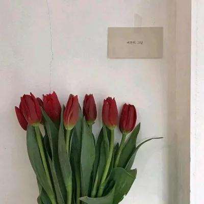 迷你小镇婚礼派对游戏下载